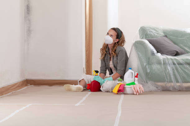 Reliable Crawl Space Mold Remediation contractor in Fairfield, NJ by 24 Hour Mold Removal